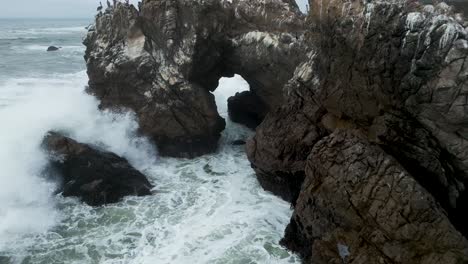 volando fuera del agujero en roca arqueada en el océano pacífico, bodega bay california