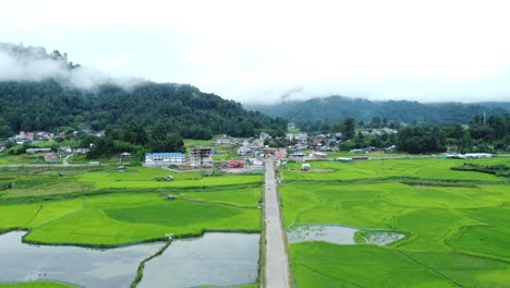 vista aérea de un campo de arroz en arunachal pradesh