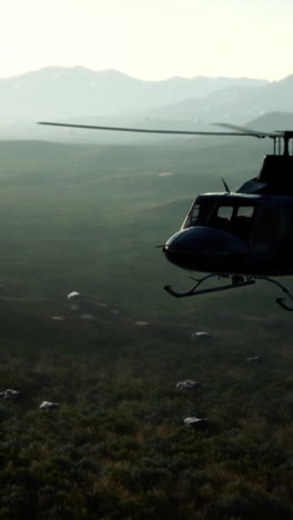 helicopter flying over a green field