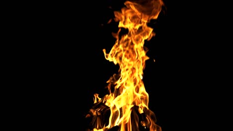 the fire is lit! black and orange, fire in the night and the winters.