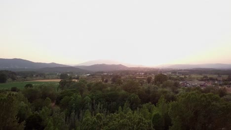 Aerial-drone-shot-flying-up-revealing-the-sunset-behind-some-trees