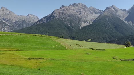 Schöne-Grüne-Felder-Am-Berg-In-Der-Schweiz