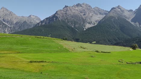 beautiful green fields on mountain in swiss