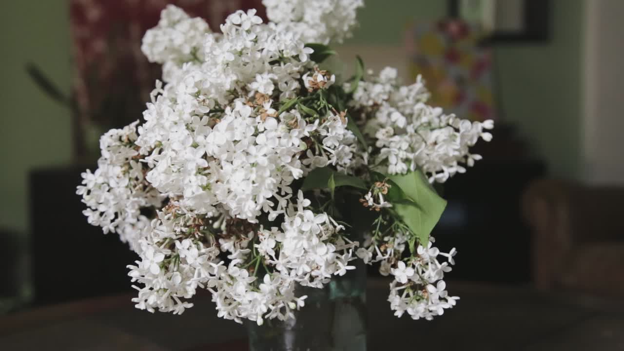 Slow panning shot of a bouquet of white lilacs on a coffee table