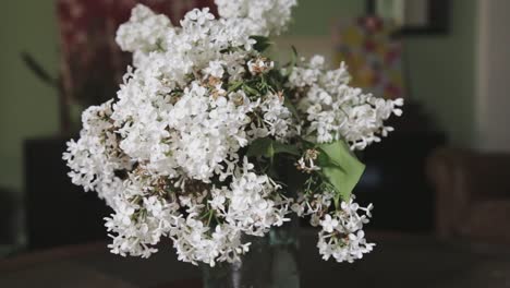 slow panning shot of a bouquet of white lilacs on a coffee table
