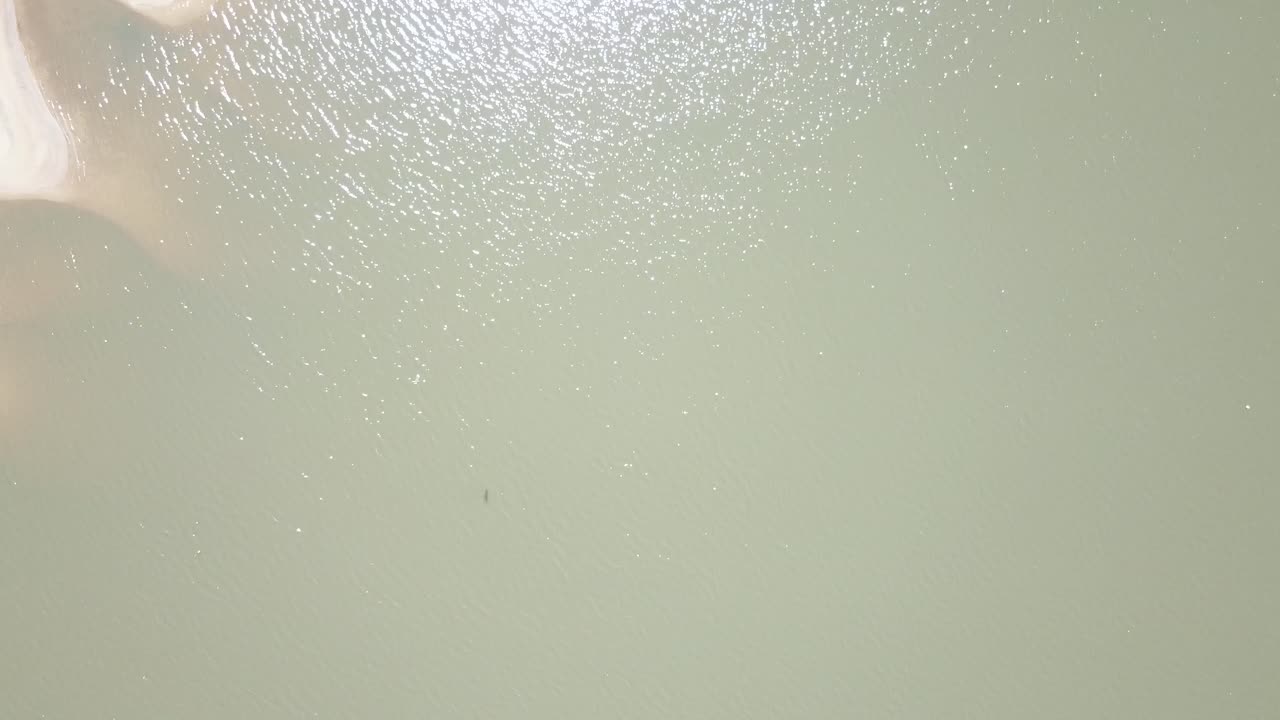 날아다니는 새와 함께 담수 강의 중앙 촬영