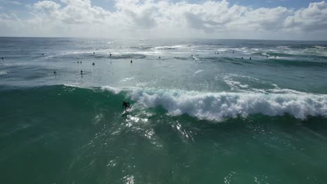 man surfer riding ocean waves in cabarita, new south wales, australia - aerial drone shot