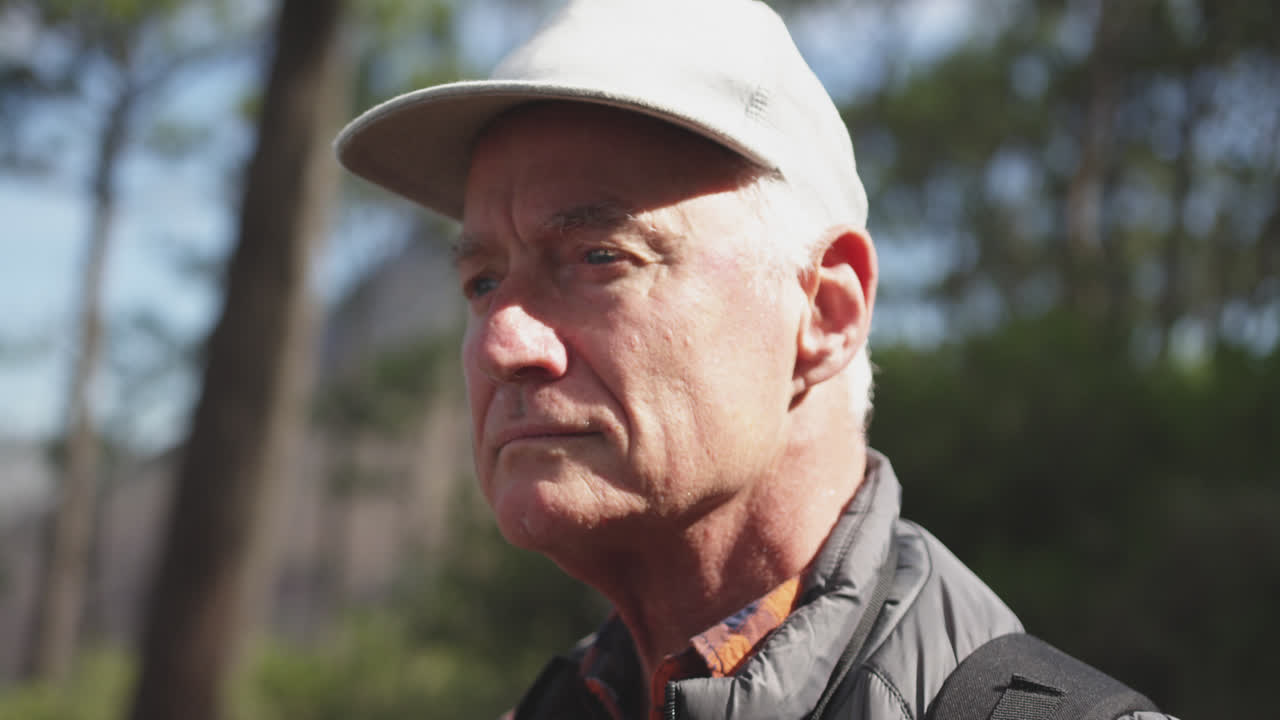 숲 속 의 활동적 인 고령자 의 면