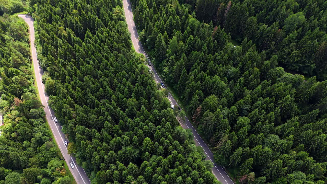 Forest road cutting through dense evergreen trees. A truck and cars travel along a narrow paved road deep inside tall dark evergreens