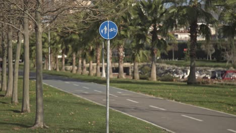 parque marítimo lleno de árboles en maltepe, estambul