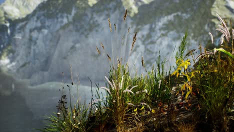 Frisches-Gras-An-Einer-Großen-Felsigen-Klippe-Im-Ozean