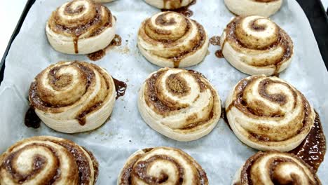 Zimtschnecken-Auf-Einem-Ofen-Versuchen-Bereit-Zum-Backen