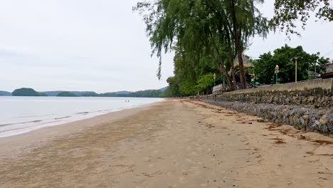 tranquil sandy beach with lush greenery in krabi, thailand