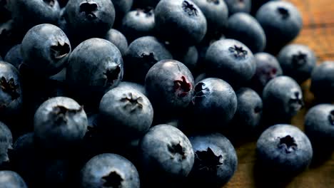 freshly picked blueberries