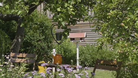 vida silvestre del patio trasero con alimentador de aves en el jardín en verano