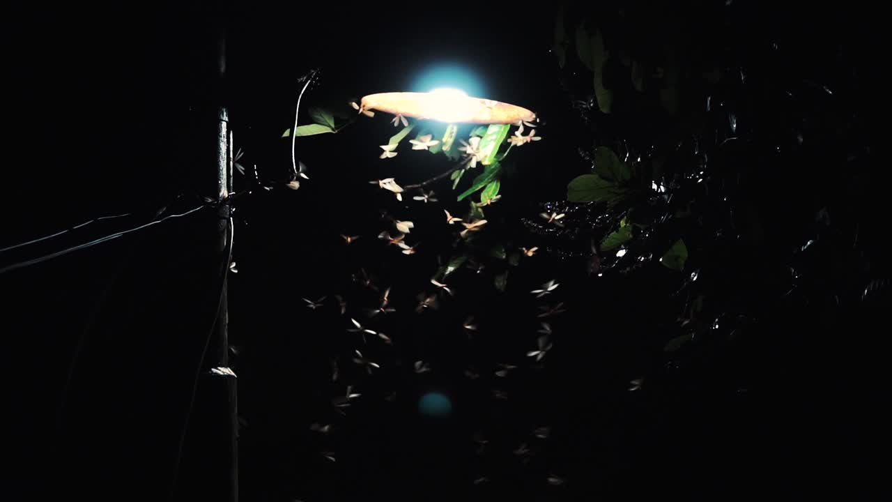 슬로우 모션 - 비오는 밤 분위기