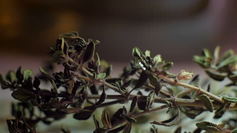 beautiful green, dried fresh thyme ready for preparing a delicious dish - close up shot