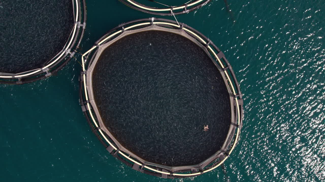 바다에서 생선 양식 농장을 날아다니는 것