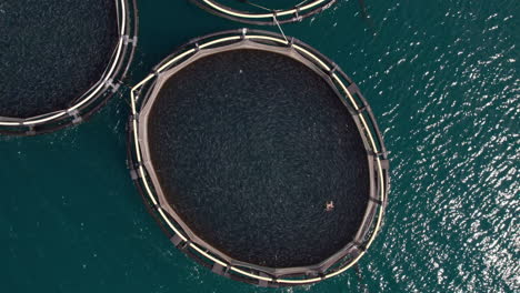 flying over fish breeding farm in the sea