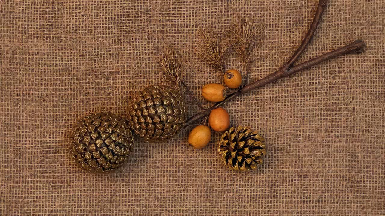 Panning camera operator initiating gentle zoom to center glittered cones pinecone berries on burlap
