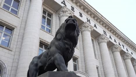 lion sculpture of the govern palace in the city of sofia