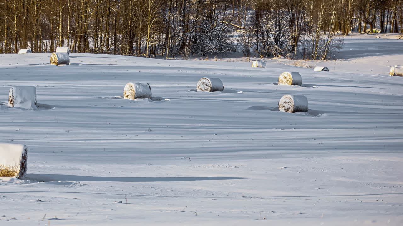 저녁 시간 경과에 따라 겨울 동안 둥근 건초 더미가 있는 설원의 전망