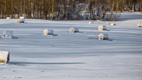 view of snowy fields with round hay bales during winter in evening timelapse