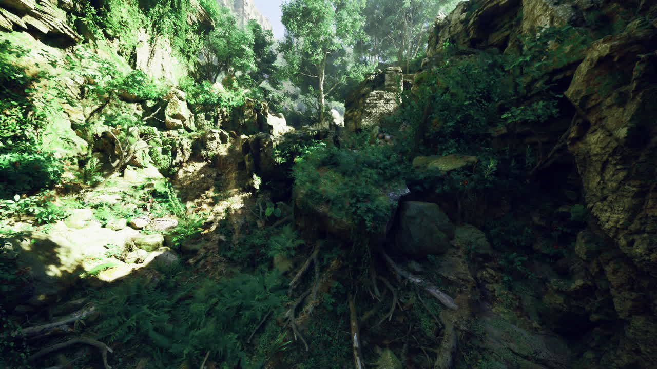 Lush forest landscape with vibrant greenery and natural rock formations