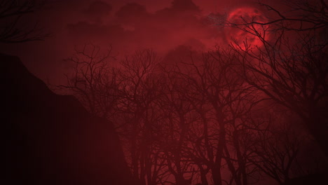 mystical forest in night with dark sky and red moon