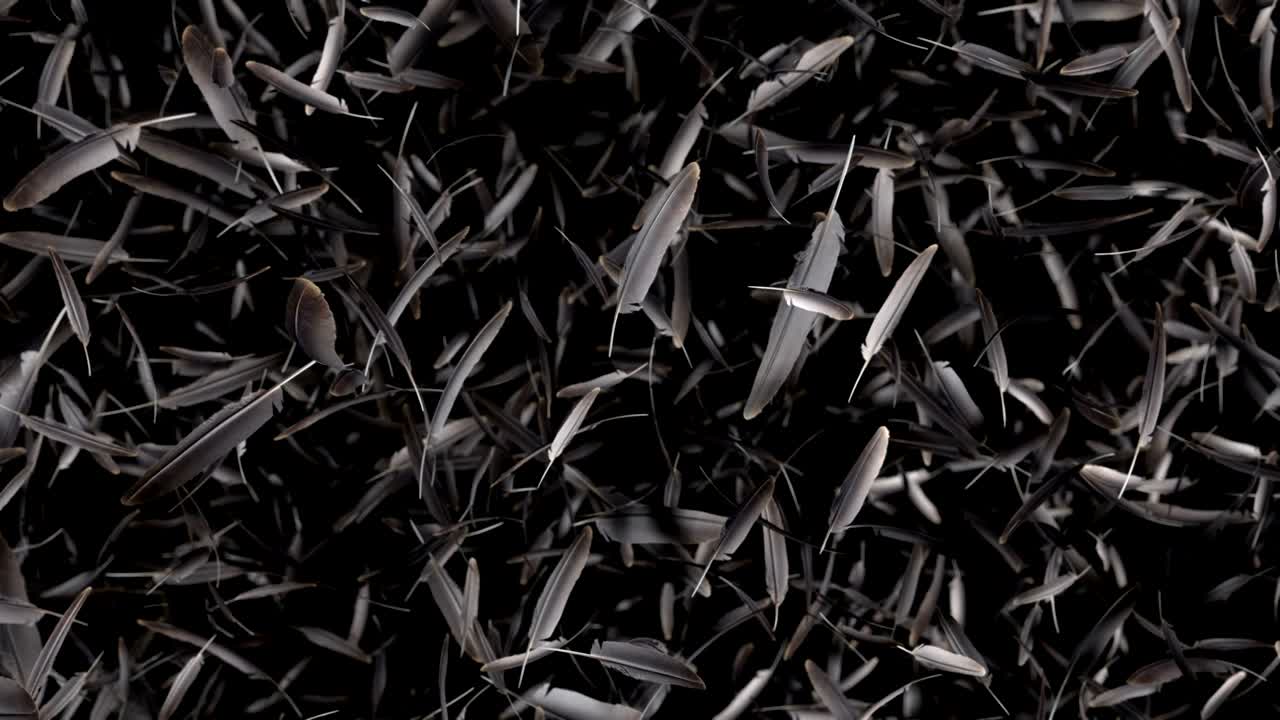 Falling feathers  transition effect with alpha channel