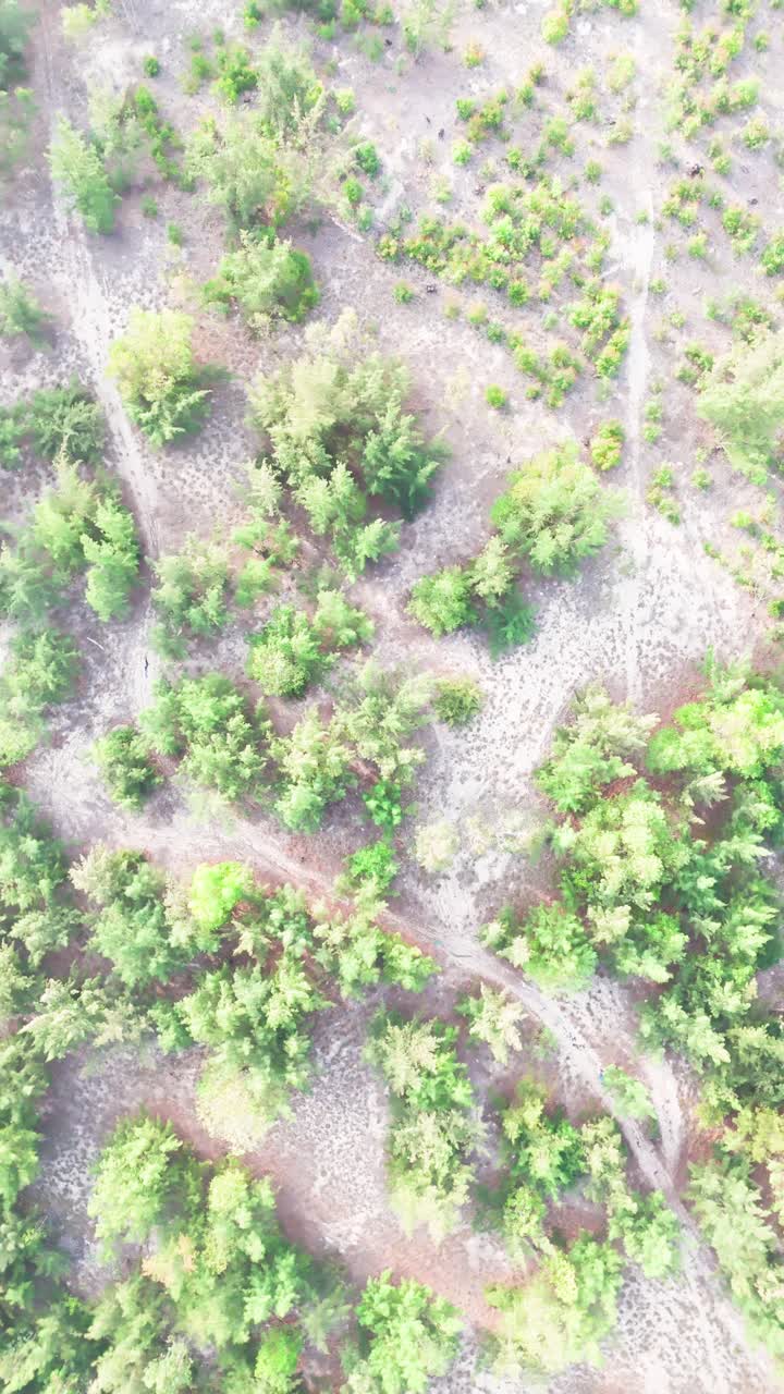 Aerial View the Forest near Bãi TắM Hòn Choi Beach.
