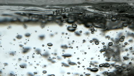 bubbles rising in glass of water