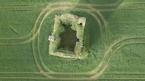 Außergewöhnlicher-Grüner-Rasen-Im-Garryard-Tipperary,-Irland