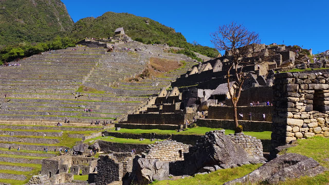 The iconic agricultural terraces at Machu Picchu. The footage captures the incredible engineering and stunning mountainous landscape of the historic sanctuary