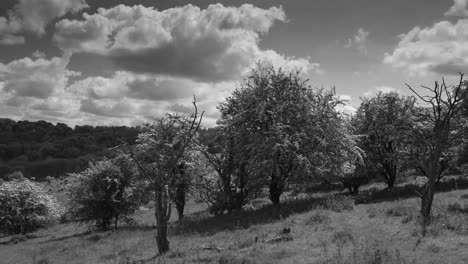 english countryside 17