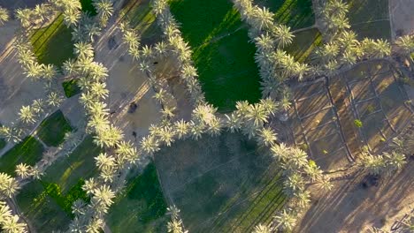 Hier-Ist-Das-Land-Der-Schönheit,-Das-Land-Des-Friedens-Und-Der-Ruhe,-Das-Land-Der-Palmen-Und-Des-Reis-Zusammen,-Hier-Sind-Sistan-Und-Belutschistan-Im-Iran