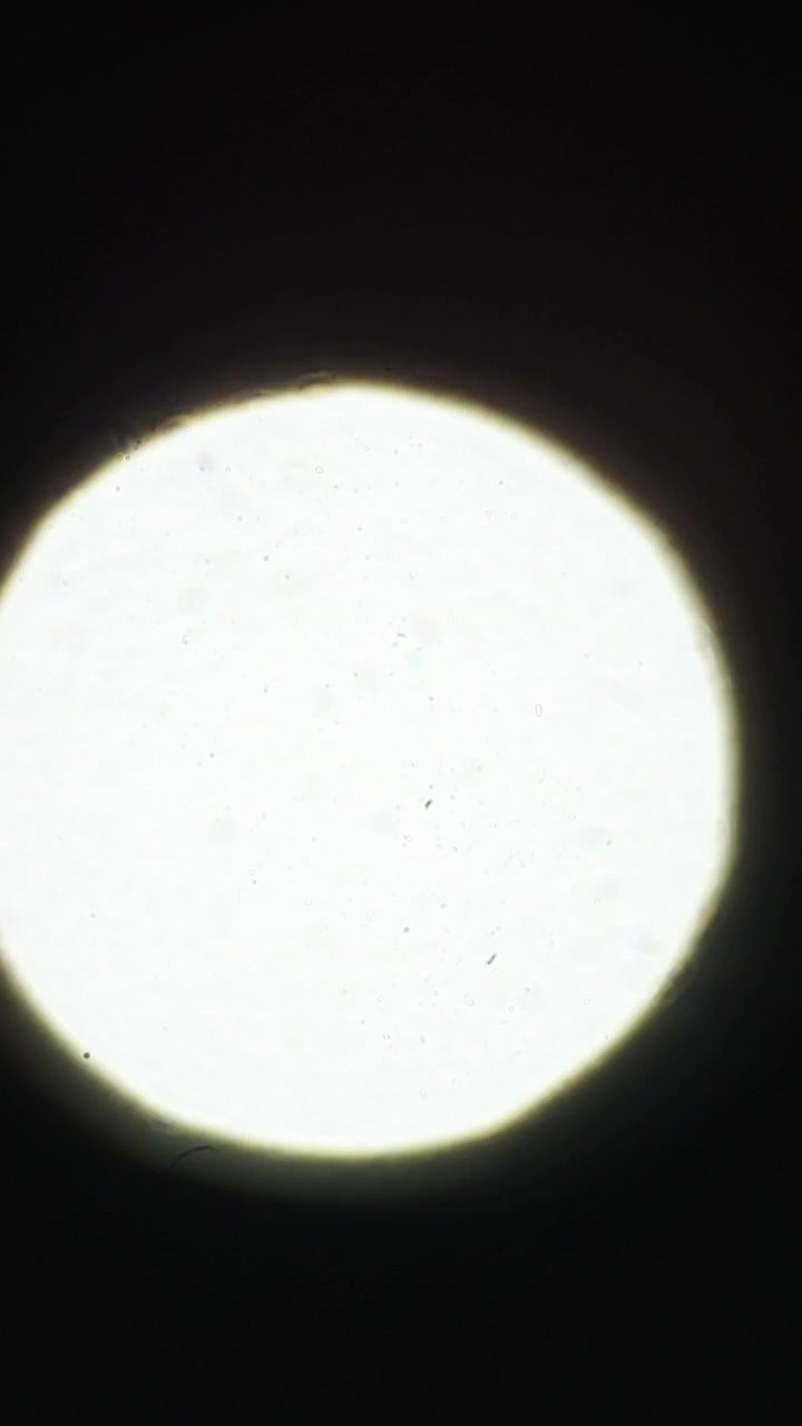 Vista microscopica della luce attraverso una lente di microscopio