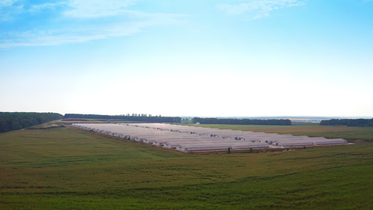 Farm complex in the vast natural plantations. White long warehouses standing in rows at the rectangular shape territory.
