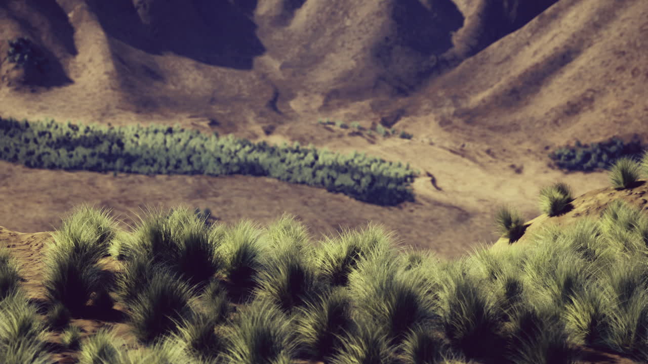 Vibrant green vegetation contrasts against dry mountainous landscape