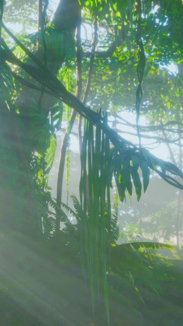 una selva exuberante con la luz del sol brillando a través