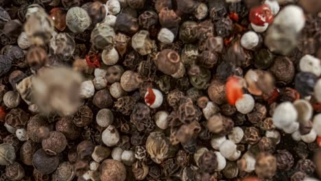 mixed peppercorns in a super slow motion. dry mix peppercorns close up.