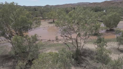 trees at todd river with muddy water near alice springs (mparntwe) at northern territory, australia. - aerial