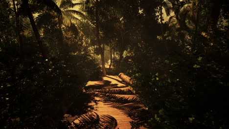 mysterious jungle path: a walk through lush tropical forest