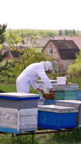 little bee farm with wooden hives near the forest and village. man in protective clothes and hat checks his hives. vertical video