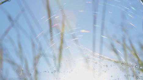 extremely close spider web with dew swaying in the wind over blue sky.