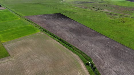 farmland in lithuania showcasing sustainable agriculture and green practices, aerial view