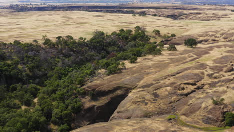 aerial of stunning landscape of tabletop mountain in america, lush forest and grassy meadow