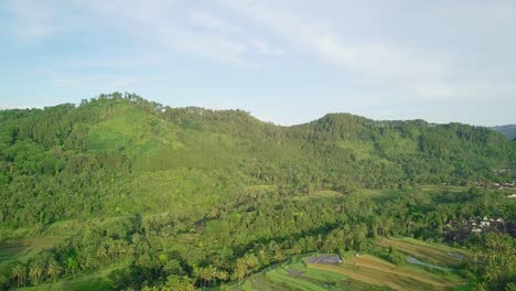 Vuelo-Aéreo-Que-Muestra-Plantaciones-Tropicales-Y-Montañas-Con-Vegetación-En-Indonesia---Hermoso-Día-Soleado-Sobre-Verdes-Colinas-En-Asia