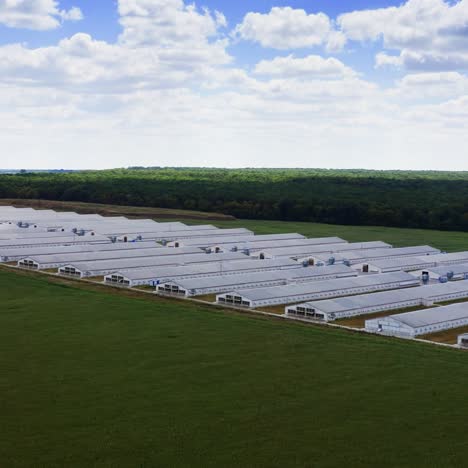 aerial view of industrial poultry house in the country. modern factory exterior