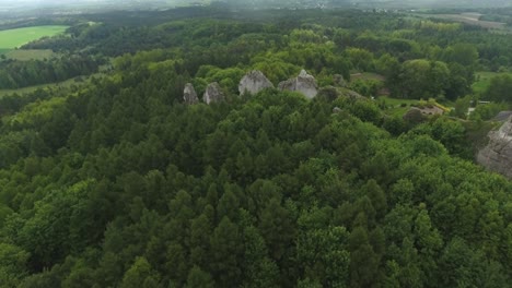 Sandsteinfelsen-Umgeben-Von-Bäumen